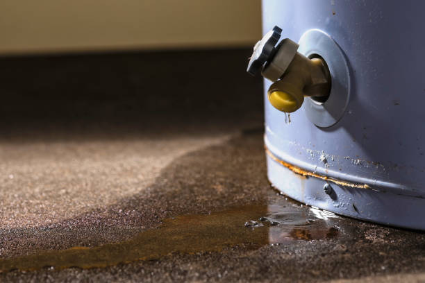 Best Flood damage cleanup  in Watsessing, NJ