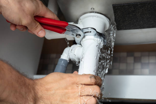 Best Water damage cleanup near me  in Watsessing, NJ