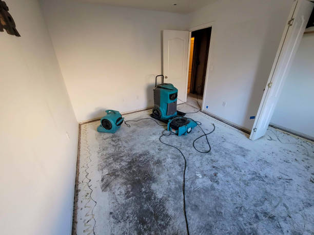 Best Water damage contractors near me  in Watsessing, NJ