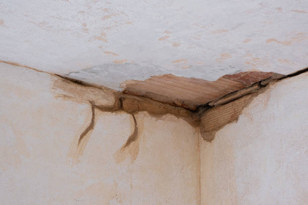 Best Water damage restoration near me  in Watsessing, NJ