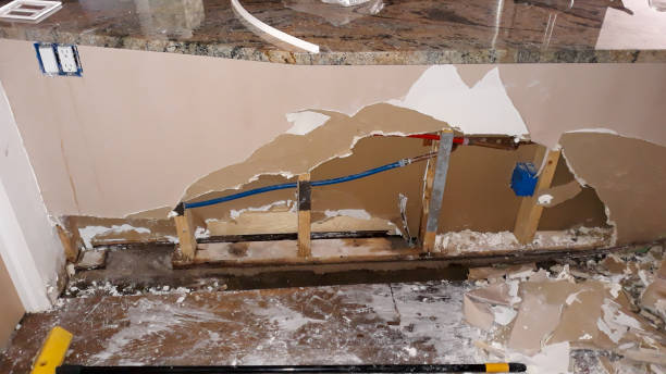 Best Sewage cleanup and water damage restoration  in Watsessing, NJ