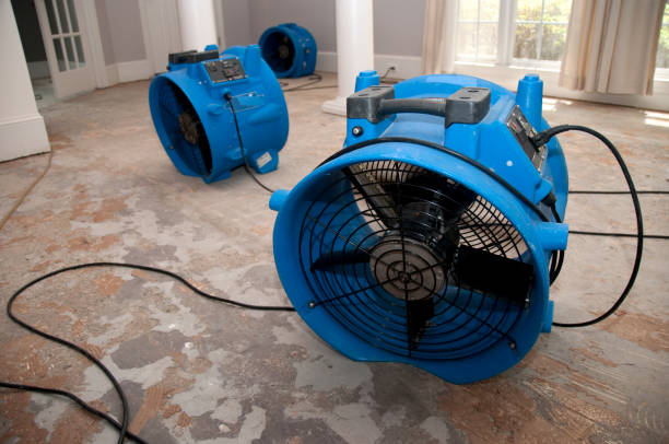 Best Mold removal after water damage  in Watsessing, NJ