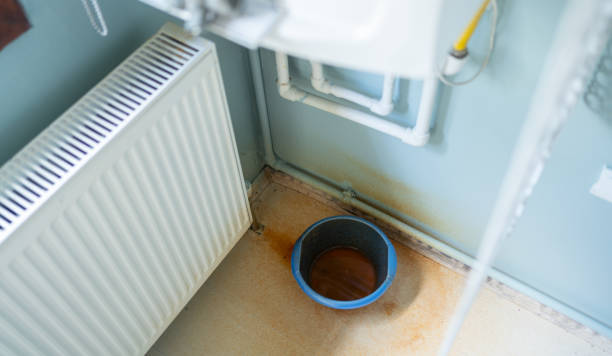 Best Local water damage restoration  in Watsessing, NJ