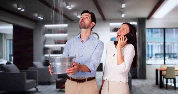 Best 24-hour water damage restoration  in Watsessing, NJ