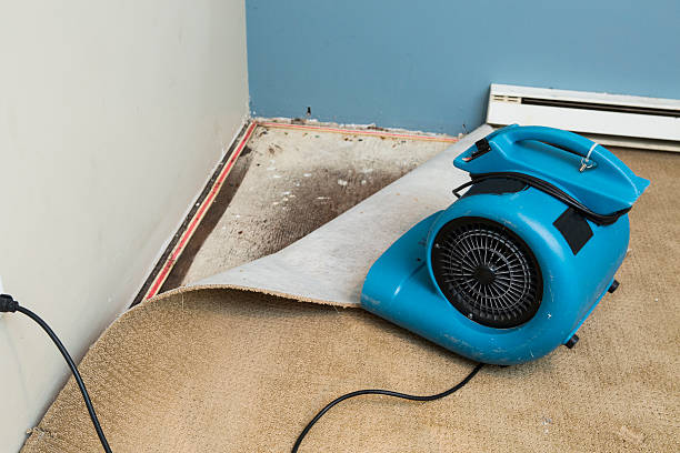 Best Water damage restoration company  in Watsessing, NJ